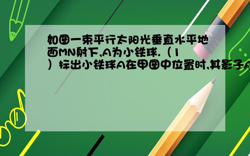 如图一束平行太阳光垂直水平地面MN射下,A为小铁球.（1）标出小铁球A在甲图中位置时,其影子A′在地面MN上的位置（用点表示即可）（2）若小铁球在竖直平面内沿图中圆形虚线轨迹运动,请在