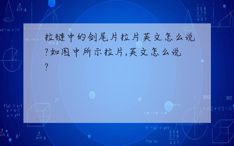 拉链中的剑尾片拉片英文怎么说?如图中所示拉片,英文怎么说?