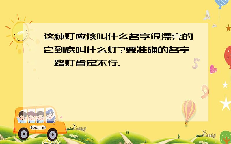 这种灯应该叫什么名字很漂亮的它到底叫什么灯?要准确的名字,路灯肯定不行.