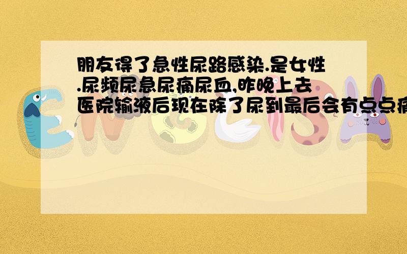 朋友得了急性尿路感染.是女性.尿频尿急尿痛尿血,昨晚上去医院输液后现在除了尿到最后会有点点痛之外,其他症状没有了.医生开了三金片加盐酸左氧氟沙星和头孢拉定胶囊配一起吃7天.请问