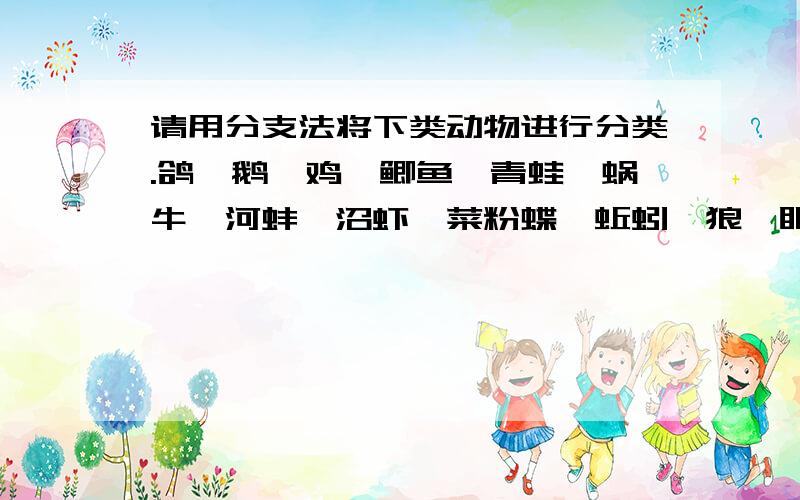 请用分支法将下类动物进行分类.鸽,鹅,鸡,鲫鱼,青蛙,蜗牛,河蚌,沼虾,菜粉蝶,蚯蚓,狼,眼镜蛇,中华鲟.