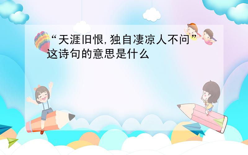 “天涯旧恨,独自凄凉人不问”这诗句的意思是什么