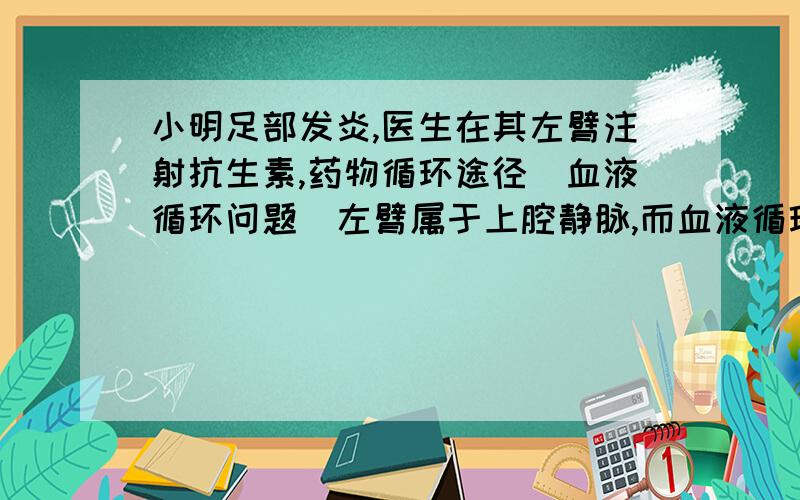 小明足部发炎,医生在其左臂注射抗生素,药物循环途径（血液循环问题）左臂属于上腔静脉,而血液循环的途径是《主动脉→组织细胞→上腔静脉→下腔静脉》按这么说药物直接可以到达下腔