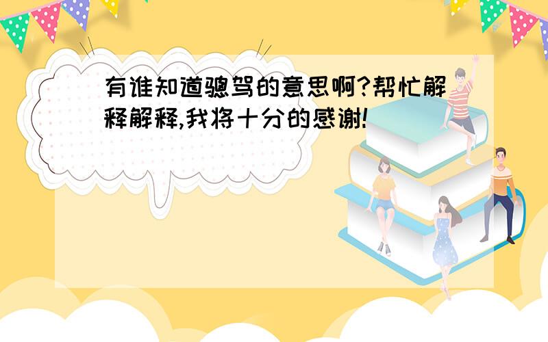 有谁知道骢驾的意思啊?帮忙解释解释,我将十分的感谢!