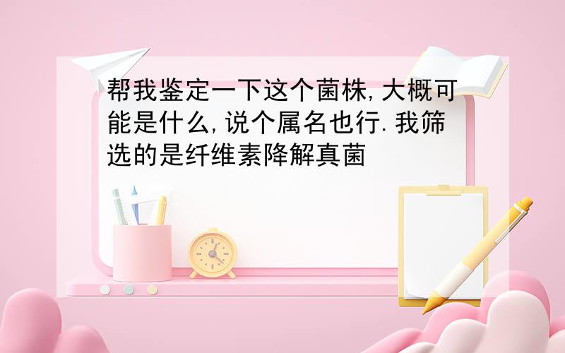 帮我鉴定一下这个菌株,大概可能是什么,说个属名也行.我筛选的是纤维素降解真菌