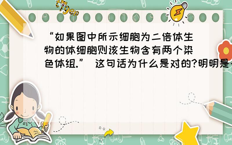 “如果图中所示细胞为二倍体生物的体细胞则该生物含有两个染色体组.” 这句话为什么是对的?明明是一倍“如果图中所示细胞为二倍体生物的体细胞则该生物含有两个染色体组.”这句话为