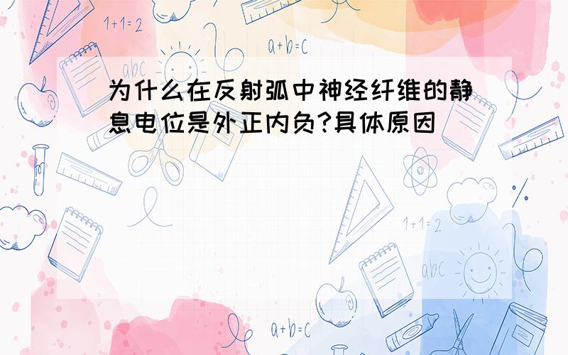 为什么在反射弧中神经纤维的静息电位是外正内负?具体原因