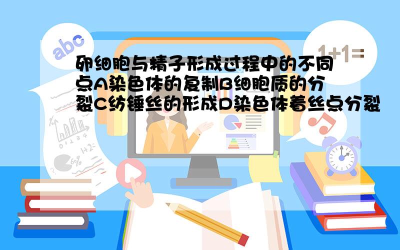 卵细胞与精子形成过程中的不同点A染色体的复制B细胞质的分裂C纺锤丝的形成D染色体着丝点分裂