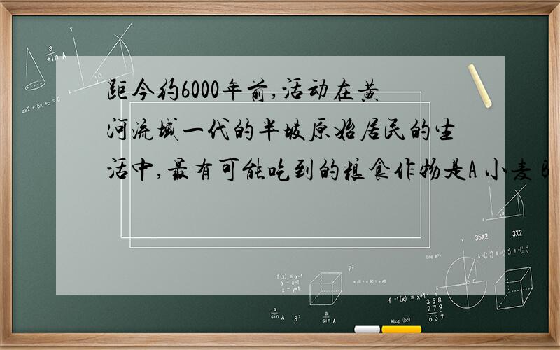 距今约6000年前,活动在黄河流域一代的半坡原始居民的生活中,最有可能吃到的粮食作物是A 小麦 B 米饭 C小米 D玉米