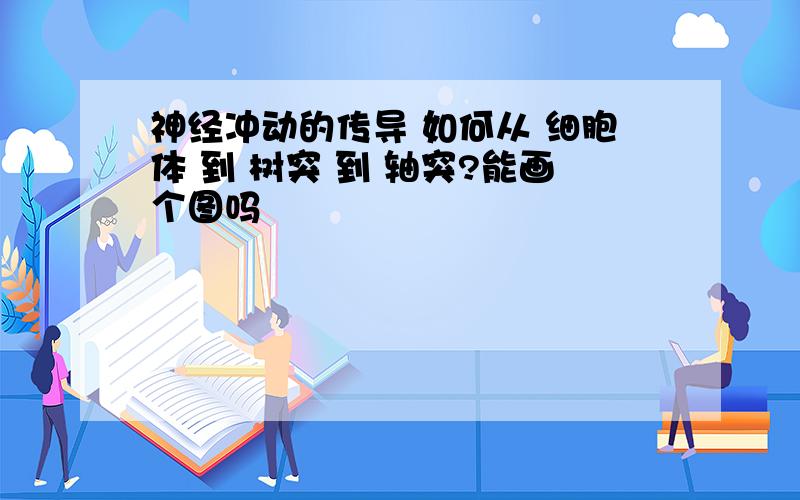 神经冲动的传导 如何从 细胞体 到 树突 到 轴突?能画个图吗