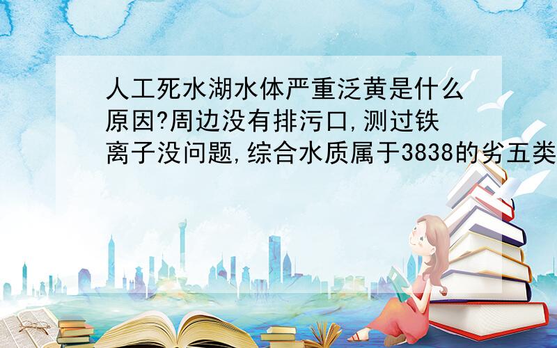 人工死水湖水体严重泛黄是什么原因?周边没有排污口,测过铁离子没问题,综合水质属于3838的劣五类,TP、TN、CODmn、DO、氨氮几项常规指标没有出现特别异常的.