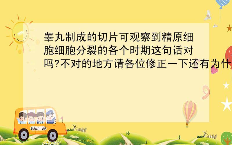 睾丸制成的切片可观察到精原细胞细胞分裂的各个时期这句话对吗?不对的地方请各位修正一下还有为什么卵巢制成的切片看不到卵母细胞细胞分裂的各个时期