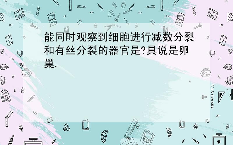 能同时观察到细胞进行减数分裂和有丝分裂的器官是?具说是卵巢.