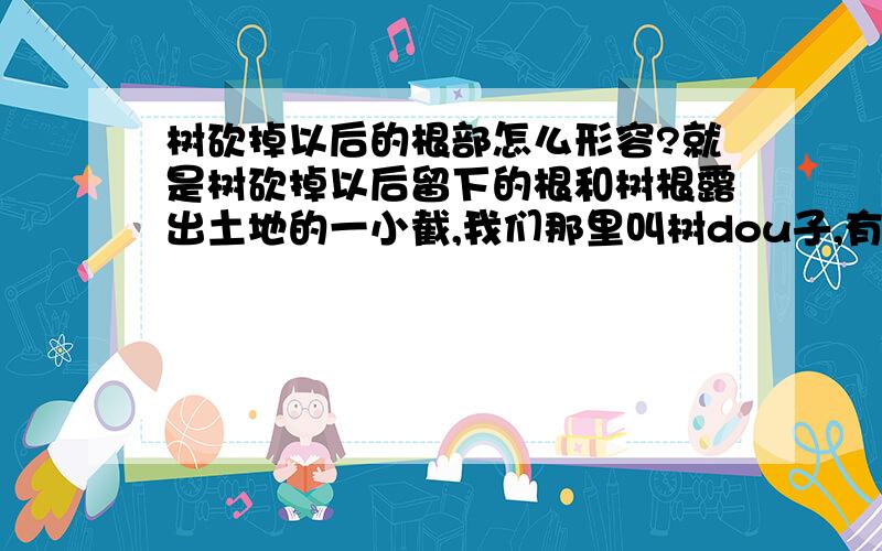 树砍掉以后的根部怎么形容?就是树砍掉以后留下的根和树根露出土地的一小截,我们那里叫树dou子,有没有有官方的说法.望告知!