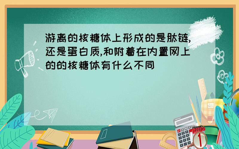 游离的核糖体上形成的是肽链,还是蛋白质,和附着在内置网上的的核糖体有什么不同