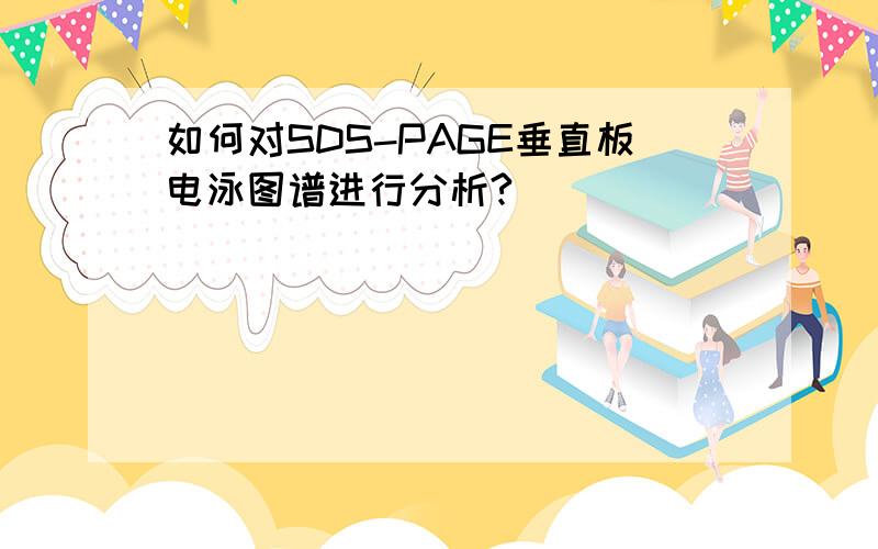 如何对SDS-PAGE垂直板电泳图谱进行分析?