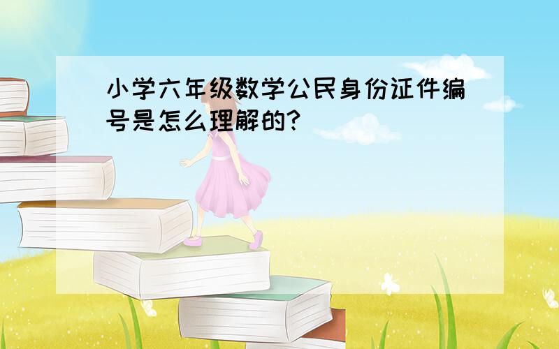 小学六年级数学公民身份证件编号是怎么理解的?