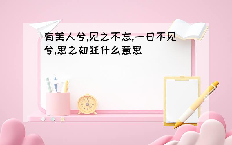 有美人兮,见之不忘,一日不见兮,思之如狂什么意思