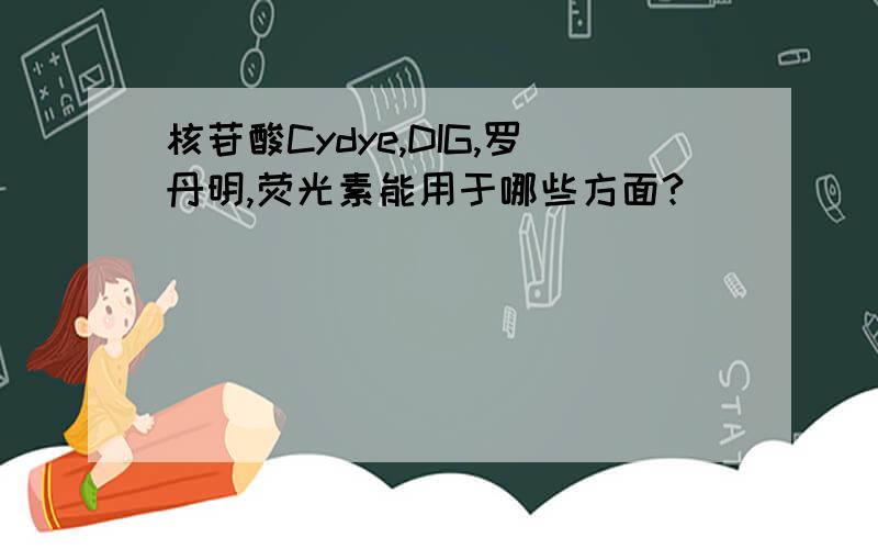 核苷酸Cydye,DIG,罗丹明,荧光素能用于哪些方面?