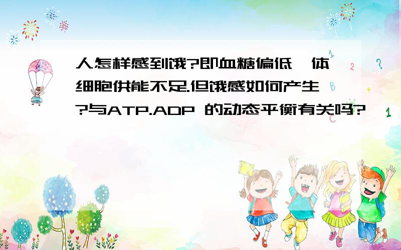 人怎样感到饿?即血糖偏低,体细胞供能不足.但饿感如何产生?与ATP.ADP 的动态平衡有关吗?