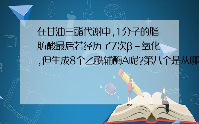 在甘油三酯代谢中,1分子的脂肪酸最后若经历了7次β-氧化,但生成8个乙酰辅酶A呢?第八个是从哪里来的?以软脂酸为例,就是进行了7次β-氧化,但最后生成了8个辅酶A,知道一次氧化会生成1个,第八