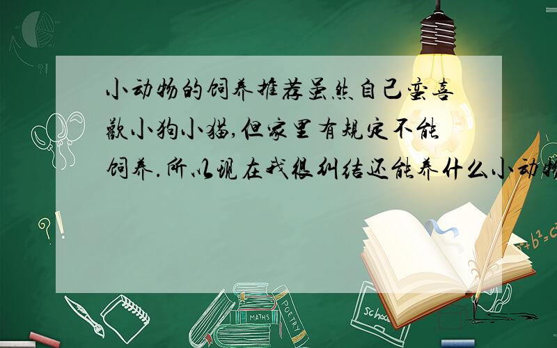 小动物的饲养推荐虽然自己蛮喜欢小狗小猫,但家里有规定不能饲养.所以现在我很纠结还能养什么小动物.自己的要求是小动物不要太贵,太贵的买不起,也不要太难伺候.本人上班不可能一天都