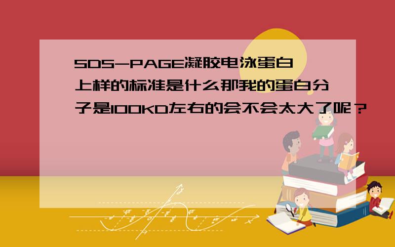 SDS-PAGE凝胶电泳蛋白上样的标准是什么那我的蛋白分子是100KD左右的会不会太大了呢？