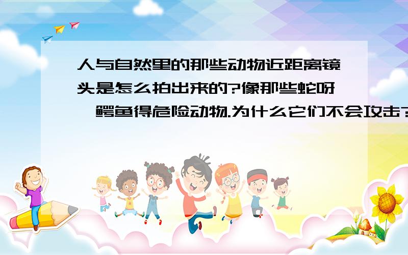 人与自然里的那些动物近距离镜头是怎么拍出来的?像那些蛇呀,鳄鱼得危险动物.为什么它们不会攻击?