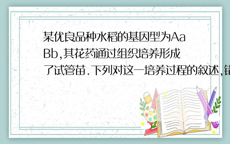 某优良品种水稻的基因型为AaBb,其花药通过组织培养形成了试管苗.下列对这一培养过程的叙述,错误的是(　　)A．花粉形成试管苗要经过脱分化和再分化的过程B．试管苗有四种基因型,其体细