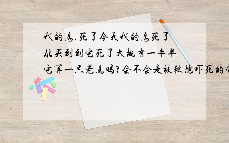 我的鸟.死了今天我的鸟死了 从买到到它死了大概有一年半 它算一只老鸟吗?会不会是被鞭炮吓死的啊 因为前段时间下雪都好好的 这几天还升温了呢是一只虎皮鹦鹉