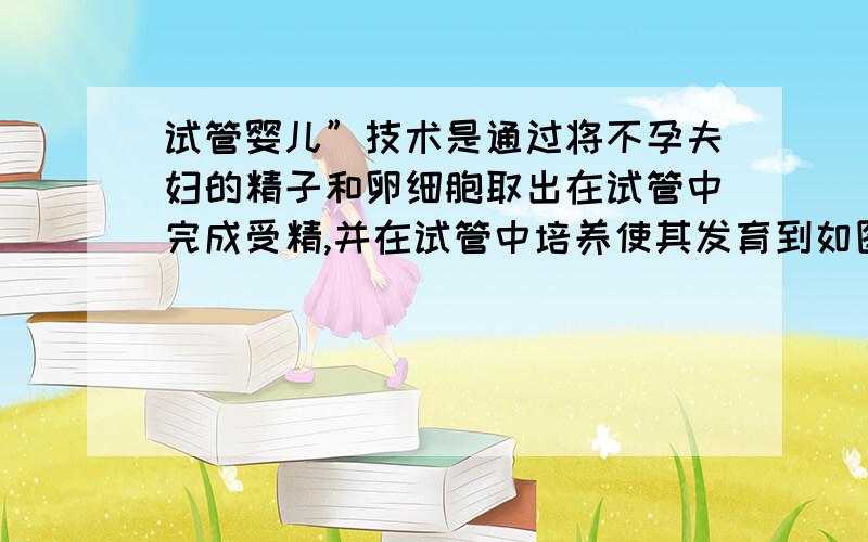 试管婴儿”技术是通过将不孕夫妇的精子和卵细胞取出在试管中完成受精,并在试管中培养使其发育到如图所示的时期,再将胚胎移入女性子宫内发育成胎儿.它不仅使一部分不能生育的男女重