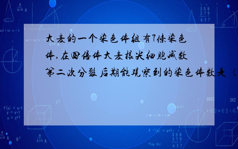 大麦的一个染色体组有7条染色体,在四倍体大麦根尖细胞减数第二次分裂后期能观察到的染色体数是 （） A．7别只是给答案,答案我自己知道!思路分析!