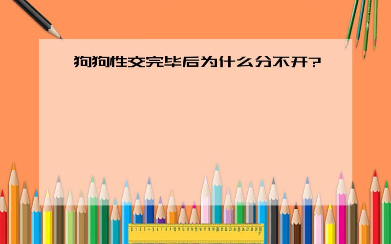 狗狗性交完毕后为什么分不开?