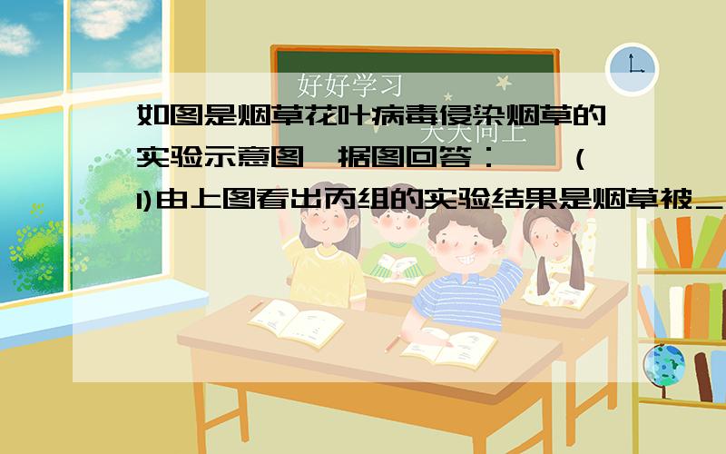 如图是烟草花叶病毒侵染烟草的实验示意图,据图回答：　　(1)由上图看出丙组的实验结果是烟草被＿＿＿,而且可以分离出＿＿＿.　　(2)乙组的实验结果是烟草没有＿＿＿.　　(3)设计甲组实