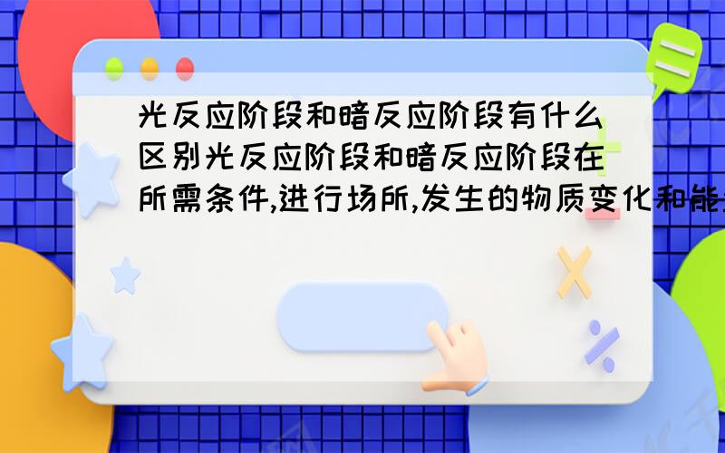 光反应阶段和暗反应阶段有什么区别光反应阶段和暗反应阶段在所需条件,进行场所,发生的物质变化和能量转换等方面有什么区别?还有光反应阶段和暗反应阶段之间的物质和能量的联系是怎