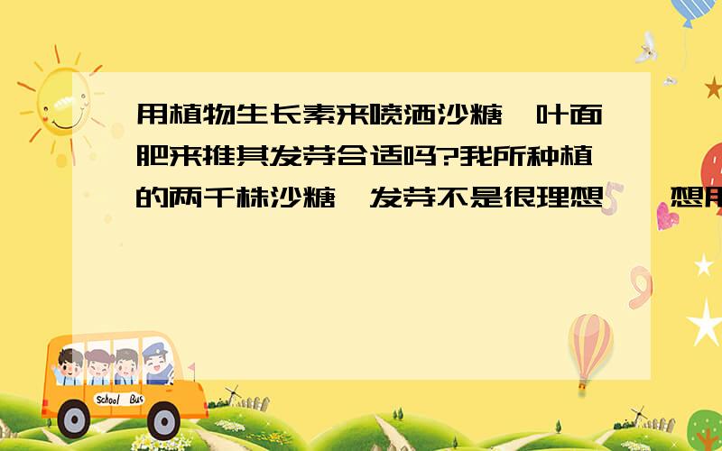 用植物生长素来喷洒沙糖桔叶面肥来推其发芽合适吗?我所种植的两千株沙糖桔发芽不是很理想　,想用一些化学药物来进行崔其生长,不知用什么药好.