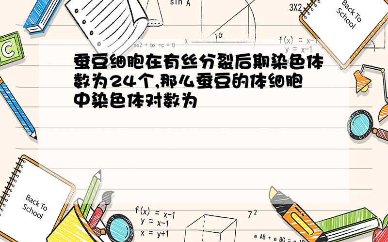 蚕豆细胞在有丝分裂后期染色体数为24个,那么蚕豆的体细胞中染色体对数为