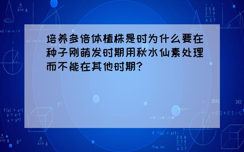 培养多倍体植株是时为什么要在种子刚萌发时期用秋水仙素处理而不能在其他时期?