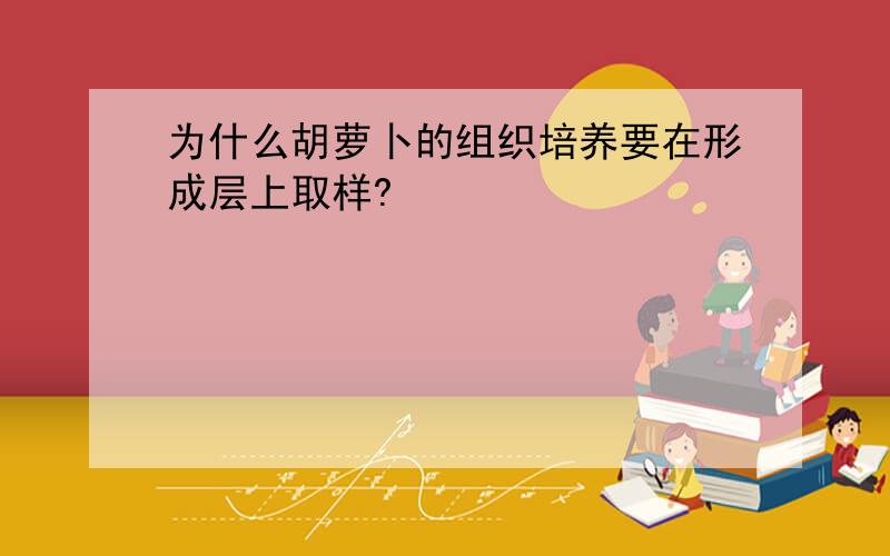 为什么胡萝卜的组织培养要在形成层上取样?