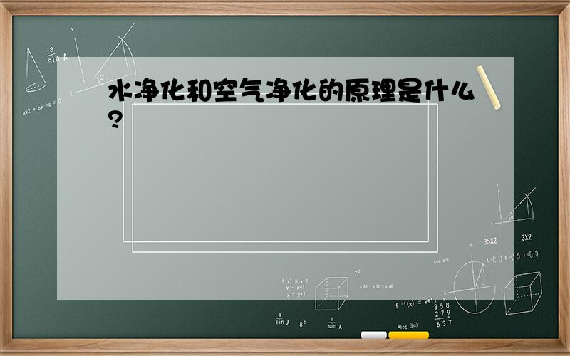 水净化和空气净化的原理是什么?