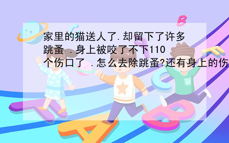 家里的猫送人了.却留下了许多跳蚤 .身上被咬了不下110个伤口了 .怎么去除跳蚤?还有身上的伤口?要真的有效的.谢谢了家里已经没猫了.但是跳蚤还在.要除去家里的跳蚤.还有我身上被咬过的