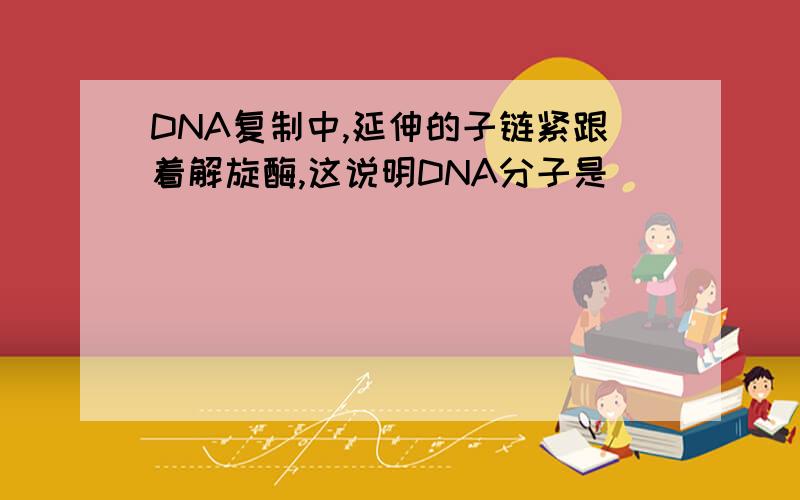 DNA复制中,延伸的子链紧跟着解旋酶,这说明DNA分子是