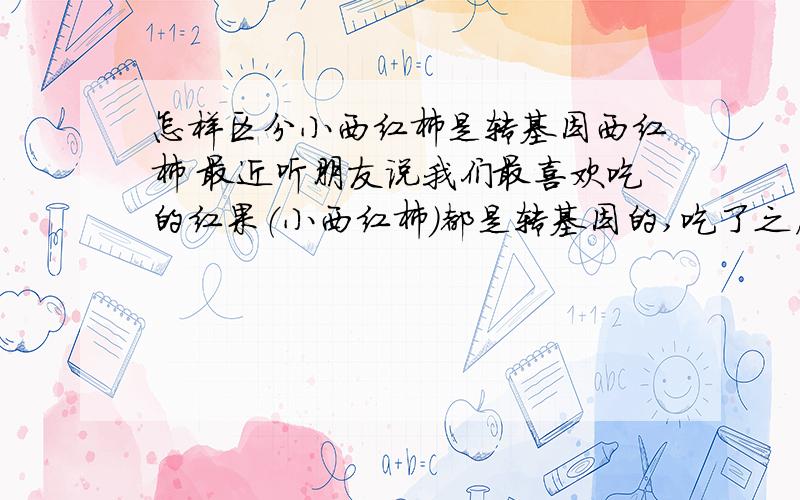 怎样区分小西红柿是转基因西红柿 最近听朋友说我们最喜欢吃的红果（小西红柿）都是转基因的,吃了之后对身体和后代都会发生基因转变,引起一些疾病什么的,那怎么样才能区别出那些红果