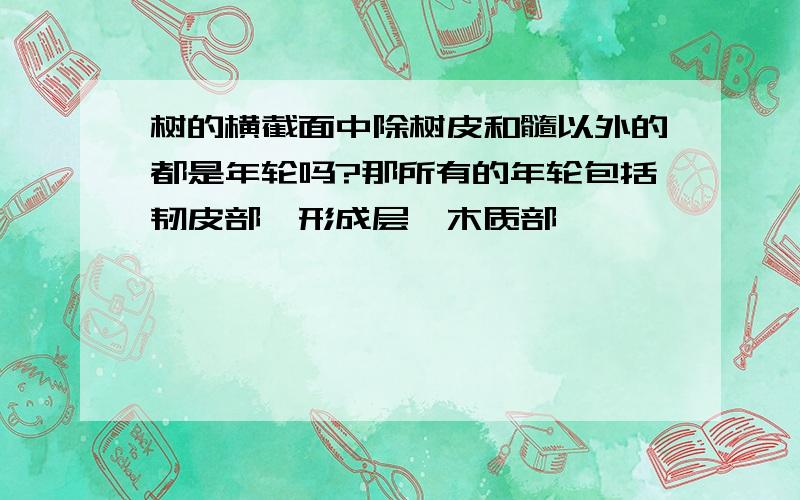 树的横截面中除树皮和髓以外的都是年轮吗?那所有的年轮包括韧皮部,形成层,木质部,