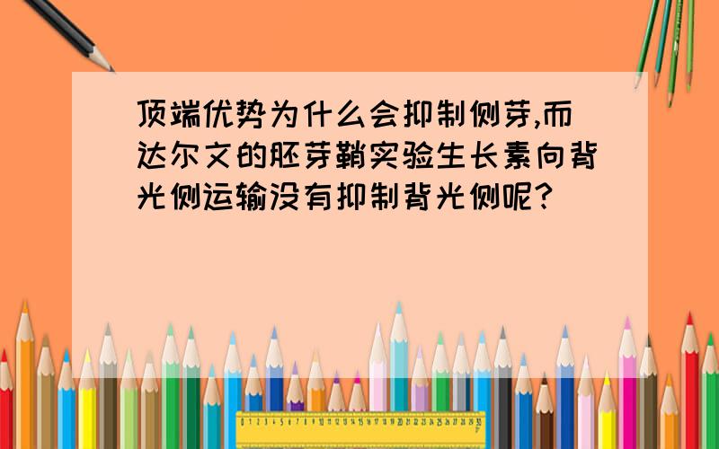 顶端优势为什么会抑制侧芽,而达尔文的胚芽鞘实验生长素向背光侧运输没有抑制背光侧呢?