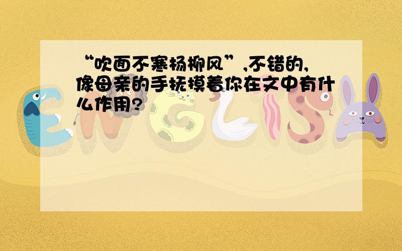 “吹面不寒杨柳风”,不错的,像母亲的手抚摸着你在文中有什么作用?