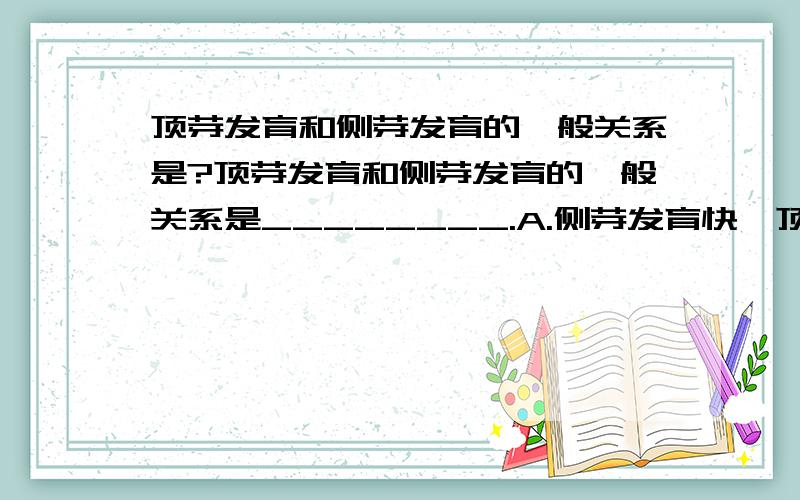 顶芽发育和侧芽发育的一般关系是?顶芽发育和侧芽发育的一般关系是________.A.侧芽发育快,顶芽发育慢B.顶芽、侧芽同等程度发育C.侧芽发育往往抑制它上面的顶芽发育,基本使顶芽处于休眠状