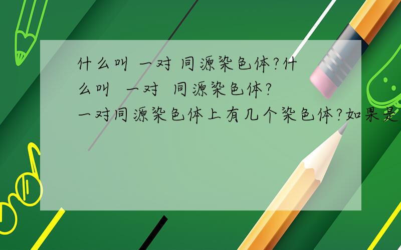 什么叫 一对 同源染色体?什么叫  一对  同源染色体?一对同源染色体上有几个染色体?如果是两个. 那有丝分裂后期怎么是4对同源染色体?如图,不应该是2对吗?