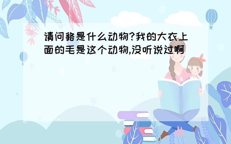 请问貉是什么动物?我的大衣上面的毛是这个动物,没听说过啊