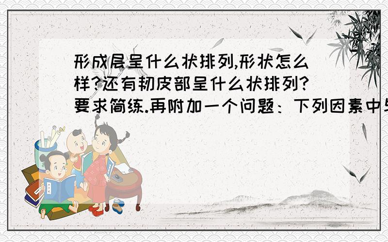 形成层呈什么状排列,形状怎么样?还有韧皮部呈什么状排列?要求简练.再附加一个问题：下列因素中与多年生植物树干横切面上年轮形成有关的是：A.便于记忆树龄B.温度、水分及阳光的周期